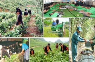 Đào tạo nghề góp phần cải thiện đời sống cho lao động nông thôn