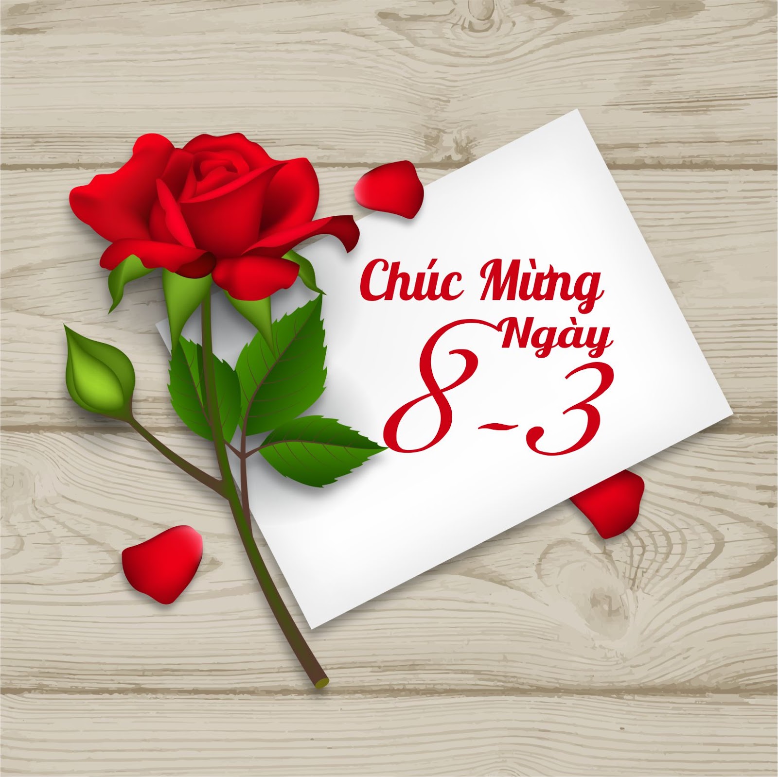 Chúc mừng ngày Quốc tế Phụ nữ 08/3!